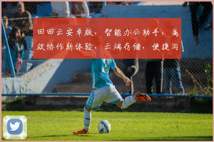 田田云安卓版，智能办公助手，高效协作新体验，云端存储，便捷沟通，轻松管理