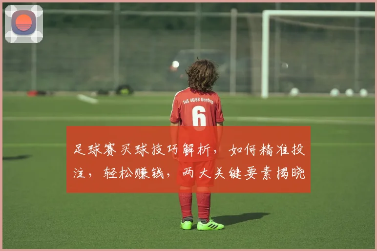 足球赛买球技巧解析，如何精准投注，轻松赚钱，两大关键要素揭晓