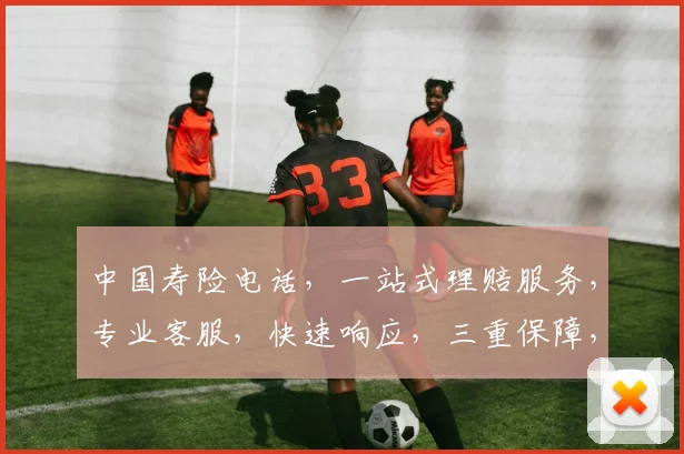 中国寿险电话，一站式理赔服务，专业客服，快速响应，三重保障，您的生活无忧