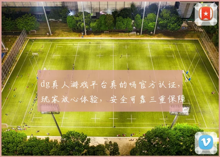dg真人游戏平台真的吗官方认证，玩家放心体验，安全可靠三重保障，揭秘真相